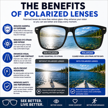Classic Polarized Wayfarers