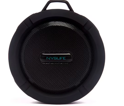 Magnetic Speaker